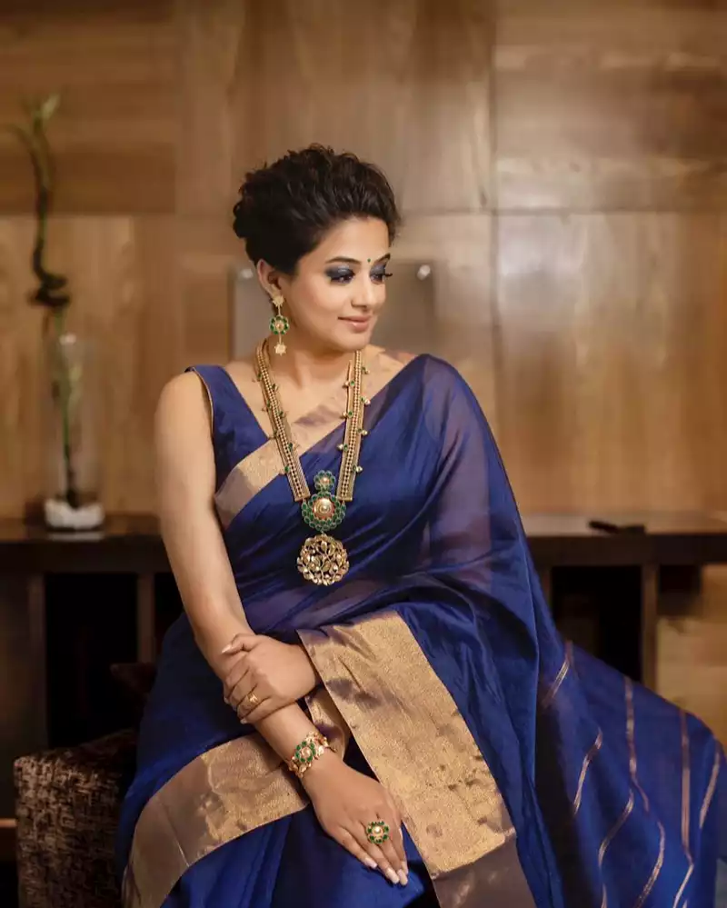 priyamani in saree stylish indian actress 18