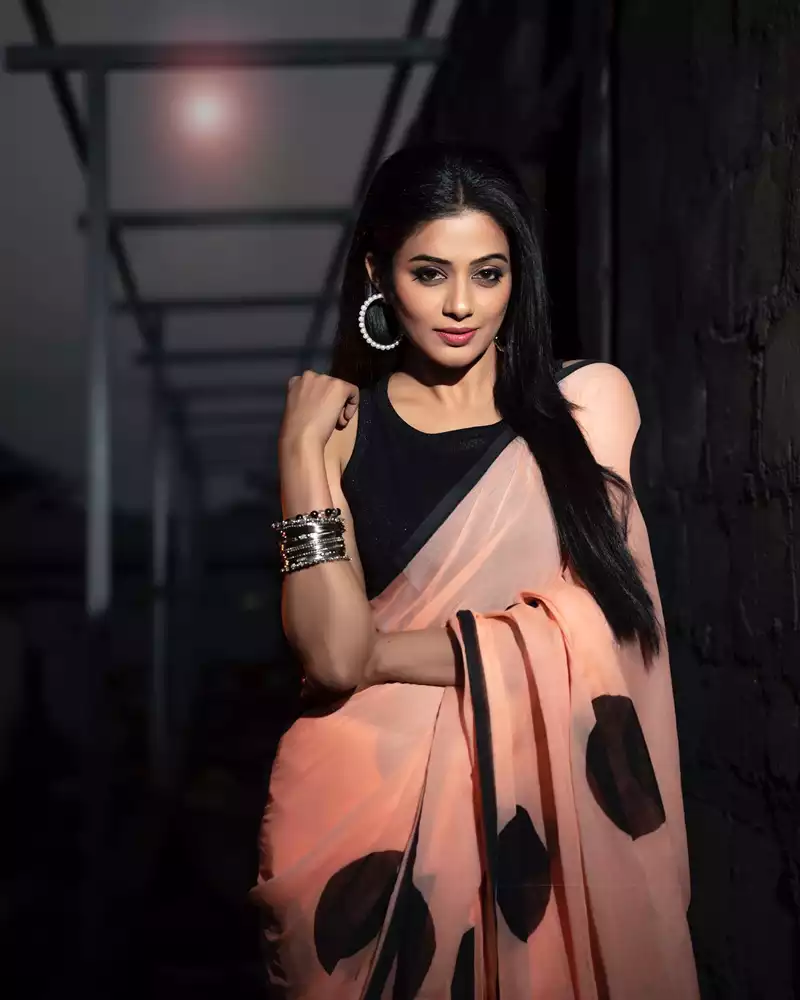 priyamani in saree stylish indian actress 22