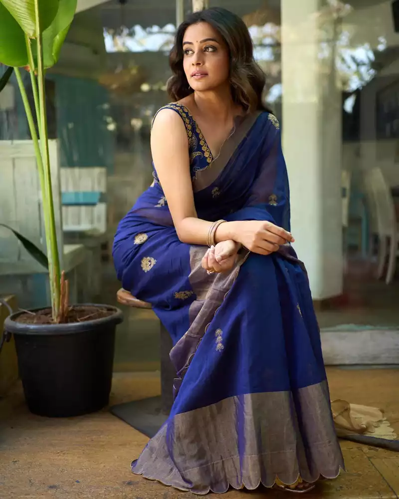 priyamani in saree stylish indian actress 5