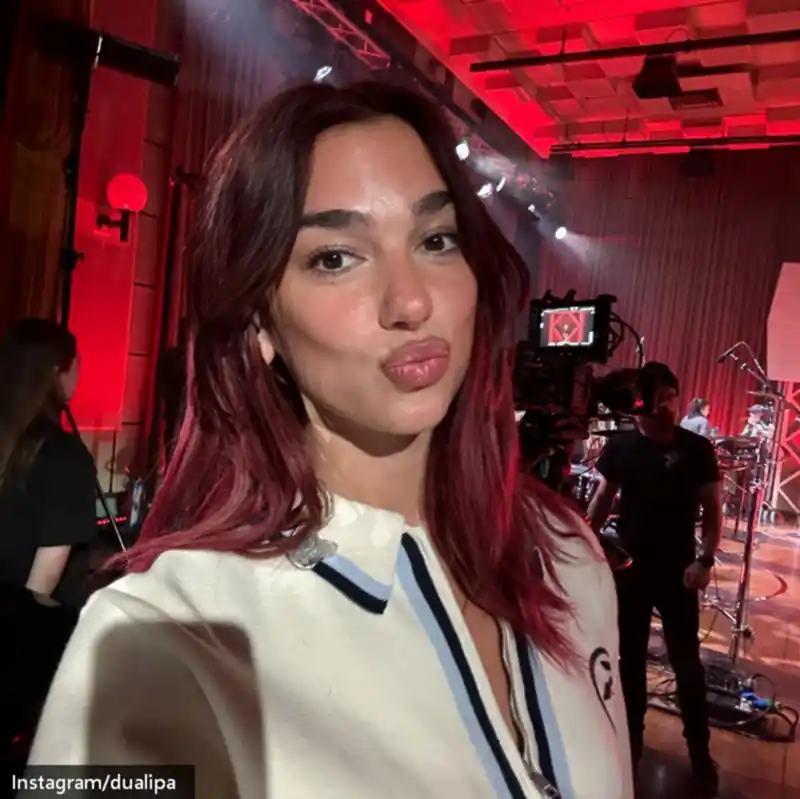 dua lipa selfie houdini singer 13